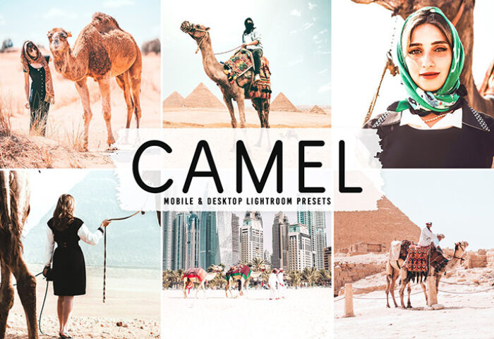 40 پریست لایت روم فضای باز و پریست کمرا راو و اکشن فتوشاپ تم شتر Camel Lightroom Presets
