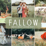 40 پریست لایت روم فضای باز و پریست کمرا راو و اکشن فتوشاپ تم کشتزار Fallow Lightroom Presets