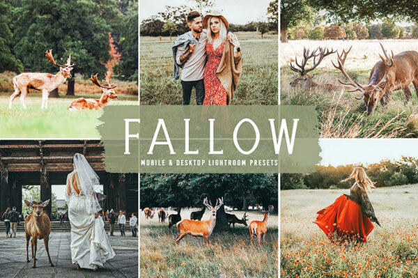 40 پریست لایت روم فضای باز و پریست کمرا راو و اکشن فتوشاپ تم کشتزار Fallow Lightroom Presets