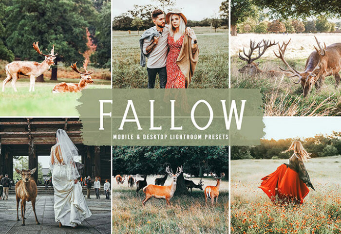 40 پریست لایت روم فضای باز و پریست کمرا راو و اکشن فتوشاپ تم کشتزار Fallow Lightroom Presets