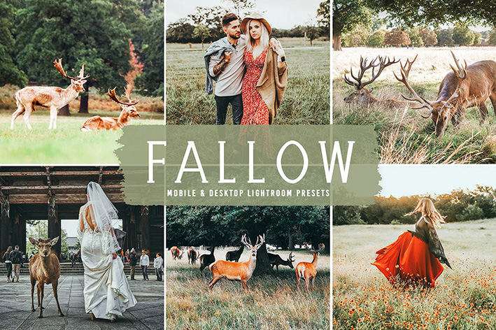40 پریست لایت روم فضای باز و پریست کمرا راو و اکشن فتوشاپ تم کشتزار Fallow Lightroom Presets 40 پریست لایت روم فضای باز و پریست کمرا راو و اکشن فتوشاپ تم کشتزار Fallow Lightroom Presets