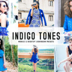 40 پریست لایت روم و پریست کمرا راو و اکشن فتوشاپ تم نیلی Indigo Tones Lightroom Presets
