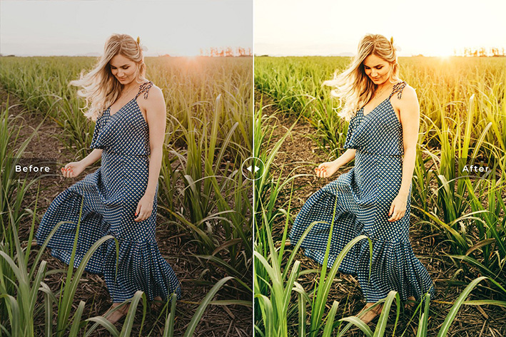 40 پریست لایت روم پرتره فضای باز و پریست کمرا راو و اکشن فتوشاپ Field Lightroom Presets