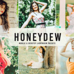 40 پریست لایت روم پرتره فضای باز و پریست کمرا راو و اکشن فتوشاپ تم عسلی Honeydew Lightroom Presets