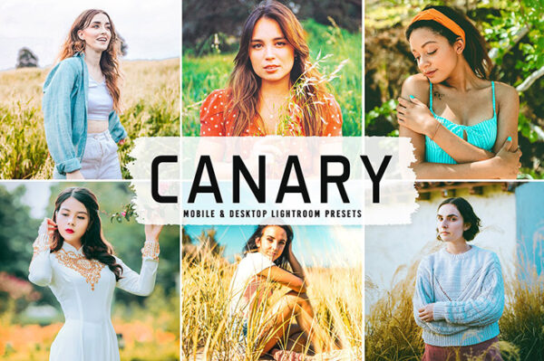 40 پریست لایت روم پرتره فضای باز و پریست کمرا راو و اکشن فتوشاپ تم قناری Canary Lightroom Presets