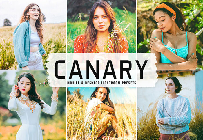 40 پریست لایت روم پرتره فضای باز و پریست کمرا راو و اکشن فتوشاپ تم قناری Canary Lightroom Presets