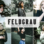40 پریست لایت روم پرتره و پریست کمرا راو و اکشن فتوشاپ Feldgrau Lightroom Presets