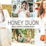 40 پریست لایت روم پرتره و پریست کمرا راو و اکشن فتوشاپ Honey Dijon Lightroom Presets