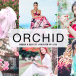 40 پریست لایت روم پرتره و پریست کمرا راو و اکشن فتوشاپ تم ارغوانی Orchid Lightroom Presets
