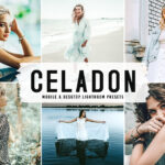 40 پریست لایت روم پرتره و پریست کمرا راو و اکشن فتوشاپ تم سبز خاکستری Celadon Lightroom Presets