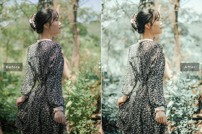 40 پریست لایت روم پرتره و پریست کمرا راو و اکشن فتوشاپ تم سبز خاکستری Celadon Lightroom Presets 40 پریست لایت روم پرتره و پریست کمرا راو و اکشن فتوشاپ تم سبز خاکستری Celadon Lightroom Presets