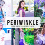 40 پریست لایت روم پرتره و پریست کمرا راو و اکشن فتوشاپ تم فضای باز Periwinkle Lightroom Presets