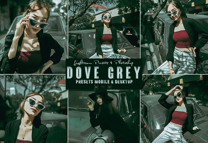 9 پریست لایت روم و اکشن فتوشاپ تم سبز خاکستری Dove Grey Photoshop Action Lightrom Presets