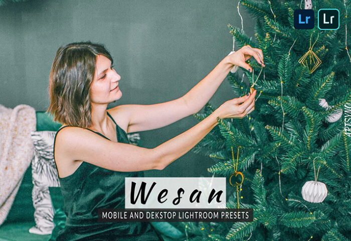 20 پریست لایت روم 2022 عکس پرتره تم کریسمس Wesan Lightroom Presets