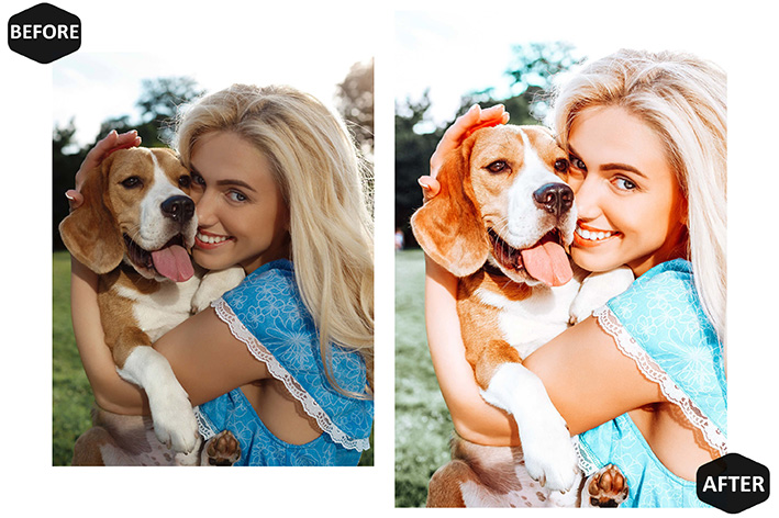 20پریست لایت روم 2022 عکس حیوانات خانگی Pet And I Lightroom Presets 20پریست لایت روم 2022 عکس حیوانات خانگی Pet And I Lightroom Presets