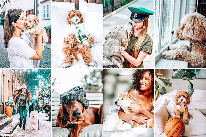 20پریست لایت روم 2022 عکس حیوانات خانگی Pet And I Lightroom Presets 20پریست لایت روم 2022 عکس حیوانات خانگی Pet And I Lightroom Presets