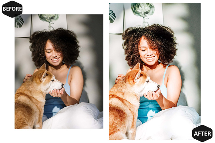 20پریست لایت روم 2022 عکس حیوانات خانگی Pet And I Lightroom Presets