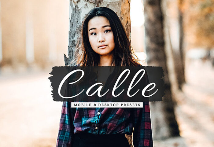 40 پریست لایت روم عکس فشن و پریست کمرا راو و اکشن فتوشاپ Calle Lightroom Presets