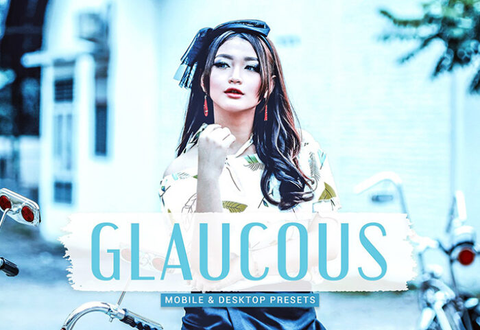 40 پریست لایت روم پرتره سینمایی و پریست کمرا راو و اکشن فتوشاپ Glaucous Lightroom Presets