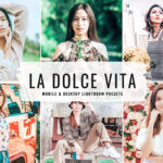 40 پریست لایت روم پرتره فشن و پریست کمرا راو و اکشن فتوشاپ La Dolce Lightroom Presets