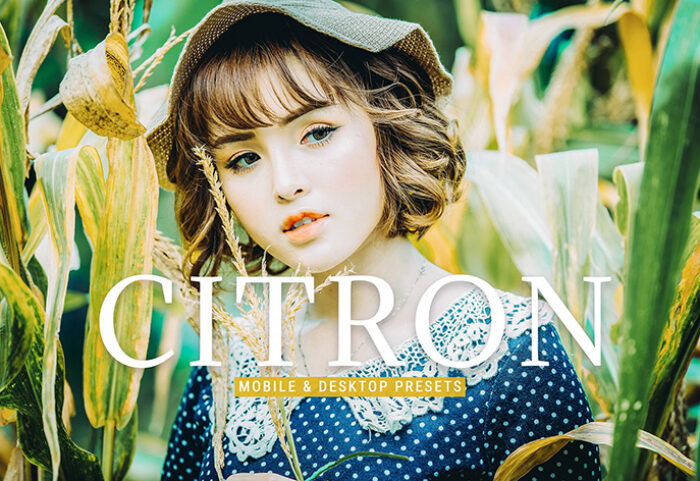 40 پریست لایت روم پرتره فضای باز و پریست کمرا راو و اکشن فتوشاپ Citron Lightroom Presets