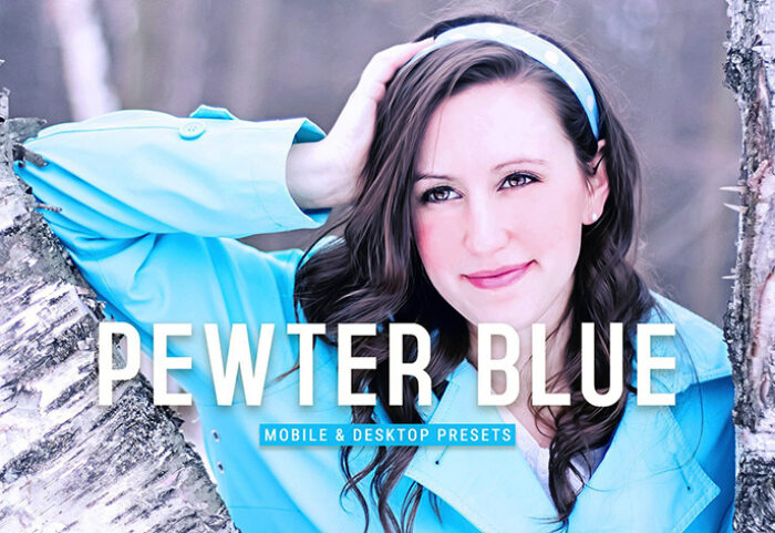 40 پریست لایت روم پرتره و پریست کمرا راو و اکشن فتوشاپ تم آبی Pewter Blue Lightroom Presets