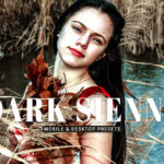 40 پریست لایت روم پرتره و پریست کمرا راو و اکشن فتوشاپ تم تیره Dark Sienna Lightroom Presets