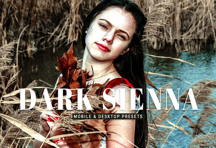 40 پریست لایت روم پرتره و پریست کمرا راو و اکشن فتوشاپ تم تیره Dark Sienna Lightroom Presets