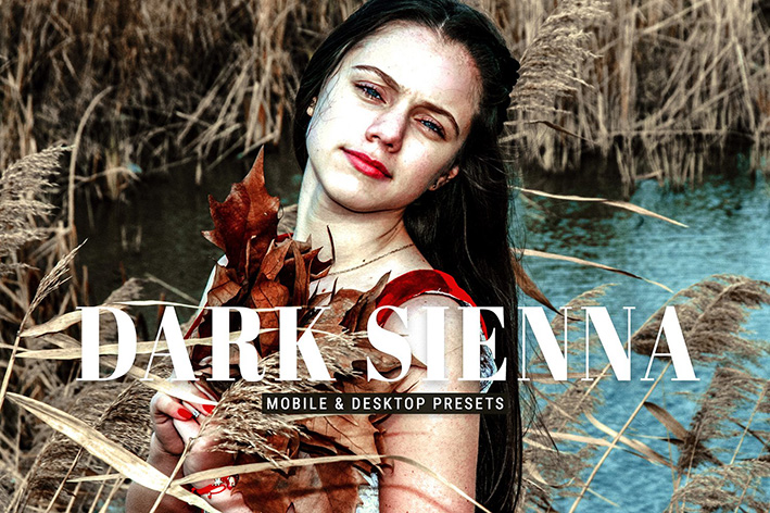 40 پریست لایت روم پرتره و پریست کمرا راو و اکشن فتوشاپ تم تیره Dark Sienna Lightroom Presets 40 پریست لایت روم پرتره و پریست کمرا راو و اکشن فتوشاپ تم تیره Dark Sienna Lightroom Presets