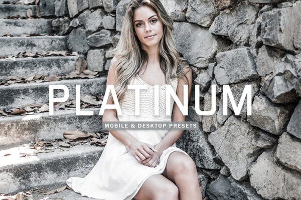 40 پریست لایت روم پرتره و پریست کمرا راو و اکشن فتوشاپ تم خاکستری Platinum Lightroom Presets