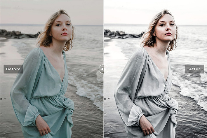 40 پریست لایت روم پرتره و پریست کمرا راو و اکشن فتوشاپ تم خاکستری Platinum Lightroom Presets 40 پریست لایت روم پرتره و پریست کمرا راو و اکشن فتوشاپ تم خاکستری Platinum Lightroom Presets