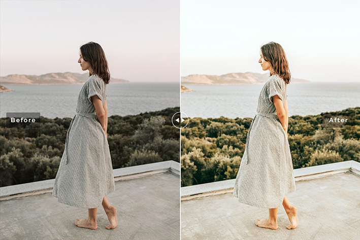 40 پریست لایت روم پرتره و پریست کمرا راو و اکشن فتوشاپ تم رنگ آجری Bisque Lightroom Presets