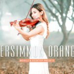 40 پریست لایت روم پرتره و پریست کمرا راو و اکشن فتوشاپ تم رنگی خرمالو Persimmon Orange Lightroom Presets