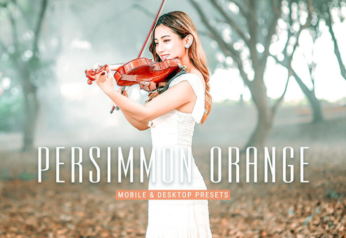 40 پریست لایت روم پرتره و پریست کمرا راو و اکشن فتوشاپ تم رنگی خرمالو Persimmon Orange Lightroom Presets