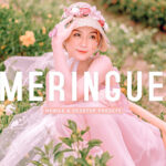 40 پریست لایت روم پرتره و پریست کمرا راو و اکشن فتوشاپ تم روشن Meringue Lightroom Presets