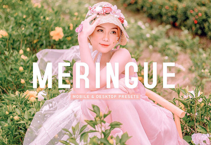 40 پریست لایت روم پرتره و پریست کمرا راو و اکشن فتوشاپ تم روشن Meringue Lightroom Presets