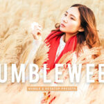 40 پریست لایت روم پرتره و پریست کمرا راو و اکشن فتوشاپ تم روشن Tumbleweed Lightroom Presets