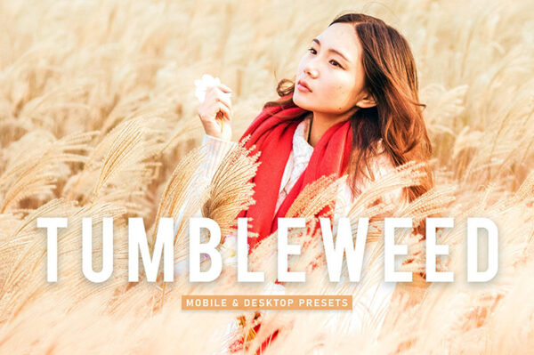 40 پریست لایت روم پرتره و پریست کمرا راو و اکشن فتوشاپ تم روشن Tumbleweed Lightroom Presets