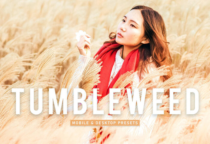 40 پریست لایت روم پرتره و پریست کمرا راو و اکشن فتوشاپ تم روشن Tumbleweed Lightroom Presets