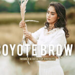 40 پریست لایت روم پرتره و پریست کمرا راو و اکشن فتوشاپ تم شکلاتی Coyote Brown Lightroom Presets