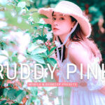 40 پریست لایت روم پرتره و پریست کمرا راو و اکشن فتوشاپ تم صورتی Ruddy Pink Lightroom Presets