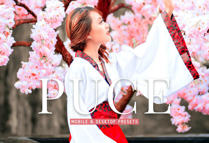 40 پریست لایت روم پرتره و پریست کمرا راو و اکشن فتوشاپ تم فشن Puce Lightroom Presets