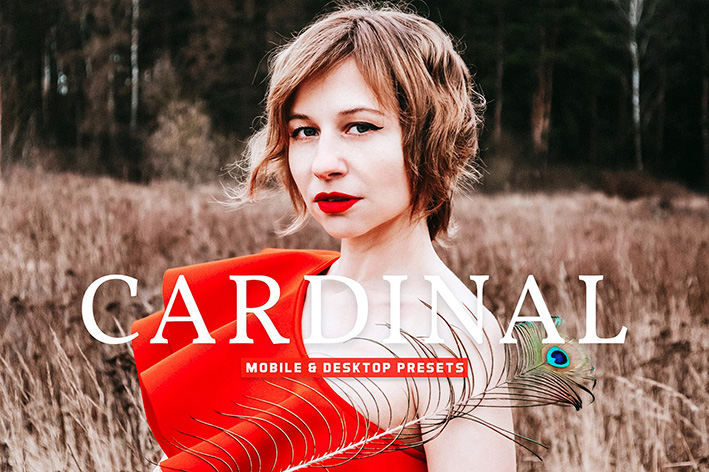 40 پریست لایت روم پرتره و پریست کمرا راو و اکشن فتوشاپ تم فضای باز Cardinal Lightroom Presets 40 پریست لایت روم پرتره و پریست کمرا راو و اکشن فتوشاپ تم فضای باز Cardinal Lightroom Presets