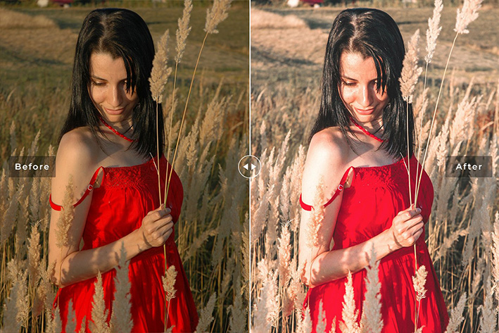 40 پریست لایت روم پرتره و پریست کمرا راو و اکشن فتوشاپ تم فضای باز Cardinal Lightroom Presets