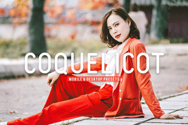 40 پریست لایت روم پرتره و پریست کمرا راو و اکشن فتوشاپ تم فضای باز Coquelicot Lightroom Presets