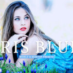 40 پریست لایت روم پرتره و پریست کمرا راو و اکشن فتوشاپ تم چشم آبی Iris Blue Lightroom Presets