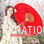 40 پریست لایت روم پرتره و پریست کمرا راو و اکشن فتوشاپ تم گل میخک Carnation Lightroom Presets