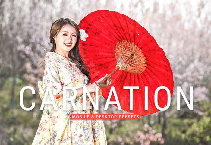 40 پریست لایت روم پرتره و پریست کمرا راو و اکشن فتوشاپ تم گل میخک Carnation Lightroom Presets
