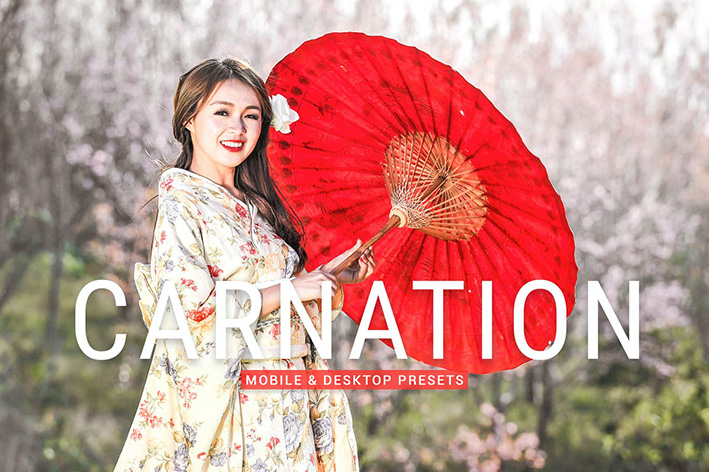 40 پریست لایت روم پرتره و پریست کمرا راو و اکشن فتوشاپ تم گل میخک Carnation Lightroom Presets 40 پریست لایت روم پرتره و پریست کمرا راو و اکشن فتوشاپ تم گل میخک Carnation Lightroom Presets