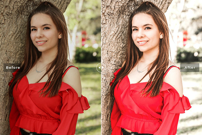 40 پریست لایت روم پرتره و پریست کمرا راو و اکشن فتوشاپ تم گل میخک Carnation Lightroom Presets 40 پریست لایت روم پرتره و پریست کمرا راو و اکشن فتوشاپ تم گل میخک Carnation Lightroom Presets
